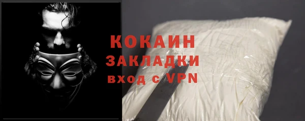 ГАЛЛЮЦИНОГЕННЫЕ ГРИБЫ Арсеньев